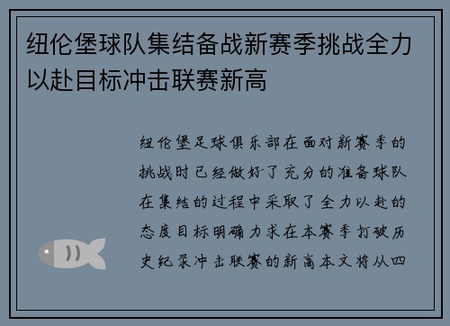 纽伦堡球队集结备战新赛季挑战全力以赴目标冲击联赛新高
