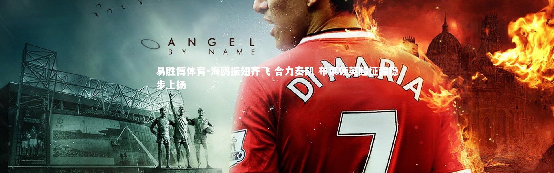 易胜博体育-海鸥振翅齐飞 合力奏凯 布莱顿英超征程稳步上扬