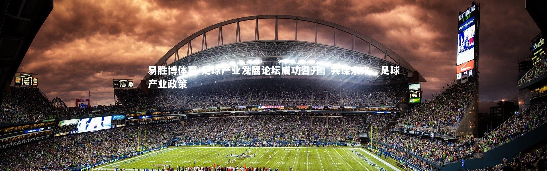 易胜博体育-足球产业发展论坛成功召开，共谋未来，足球产业政策