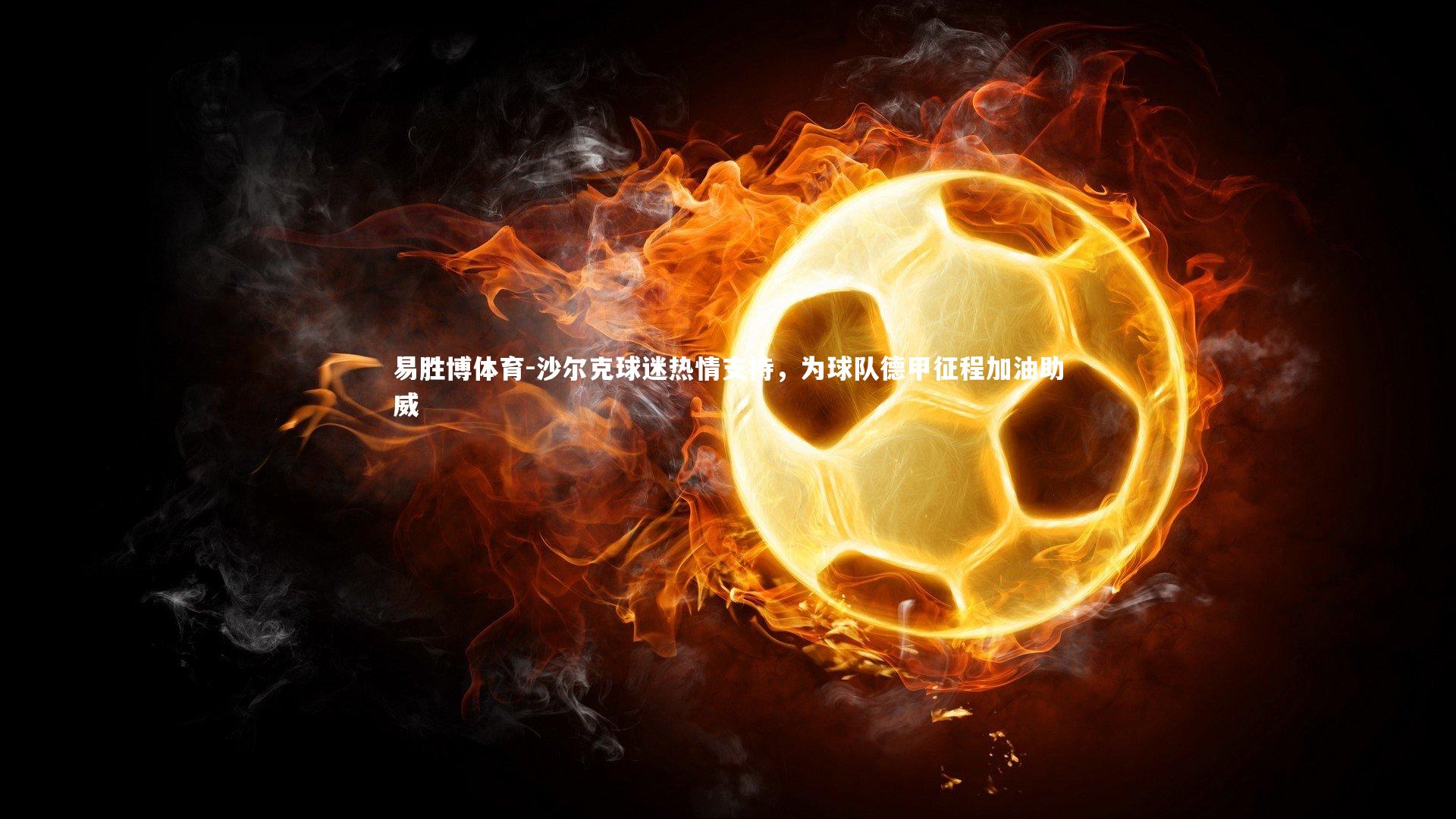 沙尔克球迷热情支持,为球队德甲征程加油助威