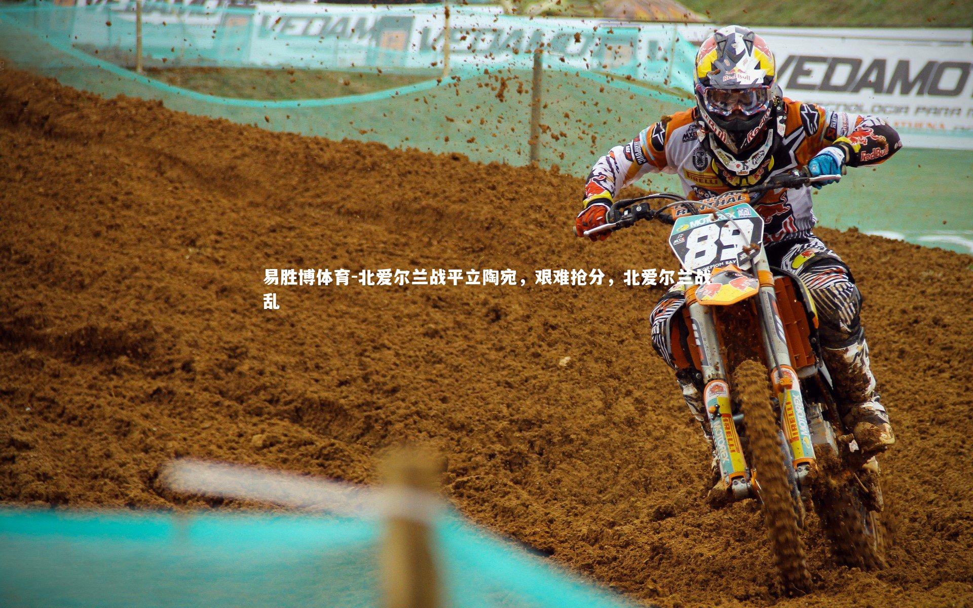 北爱尔兰战平立陶宛,艰难抢分,北爱尔兰战乱