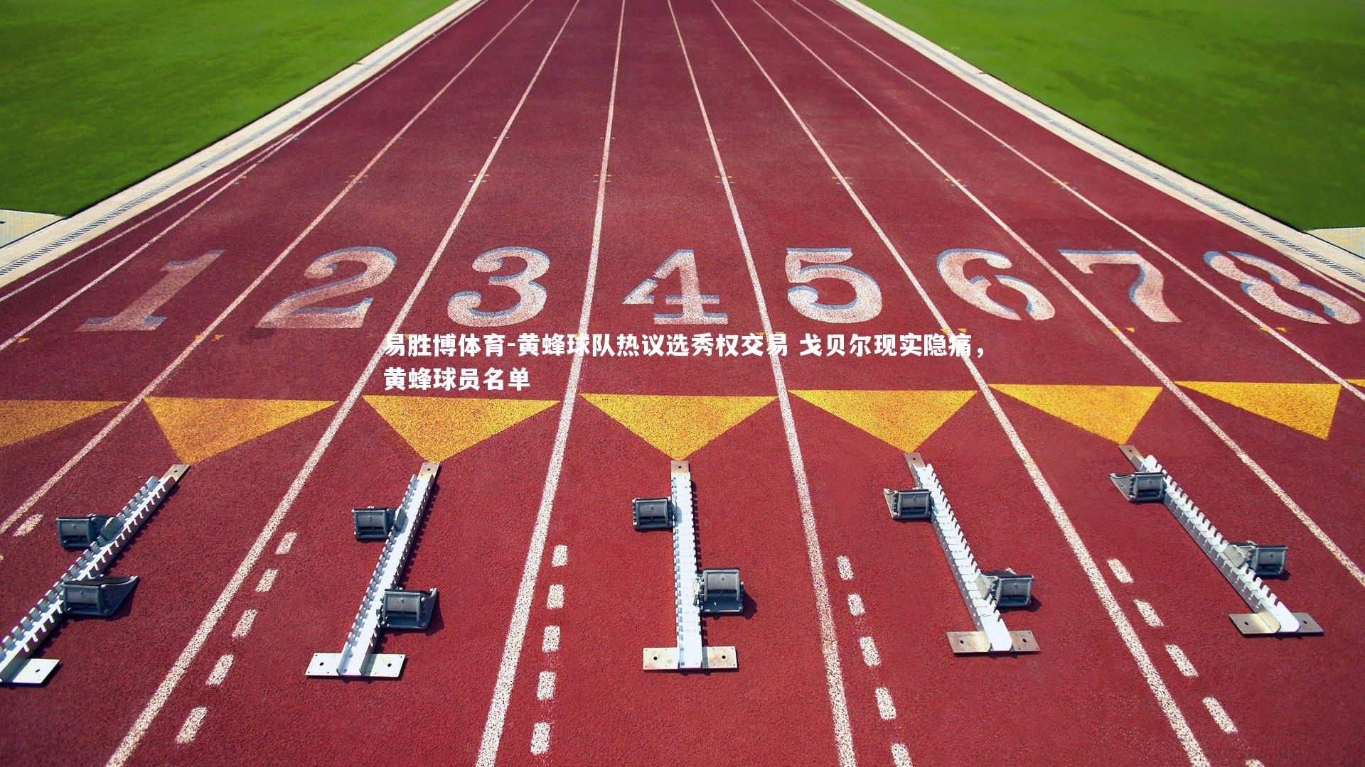 黄蜂球队热议选秀权交易 戈贝尔现实隐痛,黄蜂球员名单