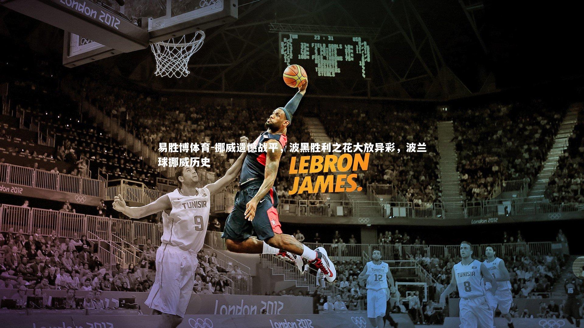 挪威遗憾战平，波黑胜利之花大放异彩，波兰球挪威历史